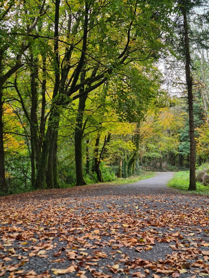 Kilrush Forest Recreational Area
