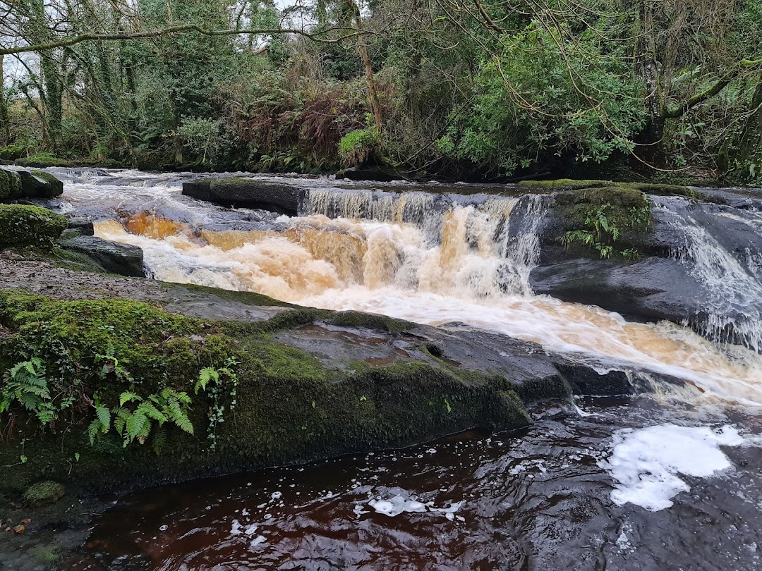 Clare Glens Loop in Ireland