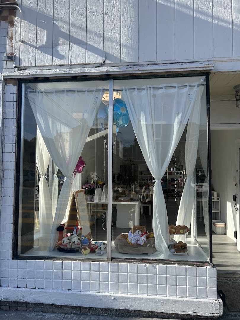 Summer puppy sf pet supplies in San Francisco