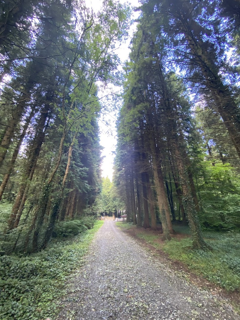 Mote Park Forest Recreation Area