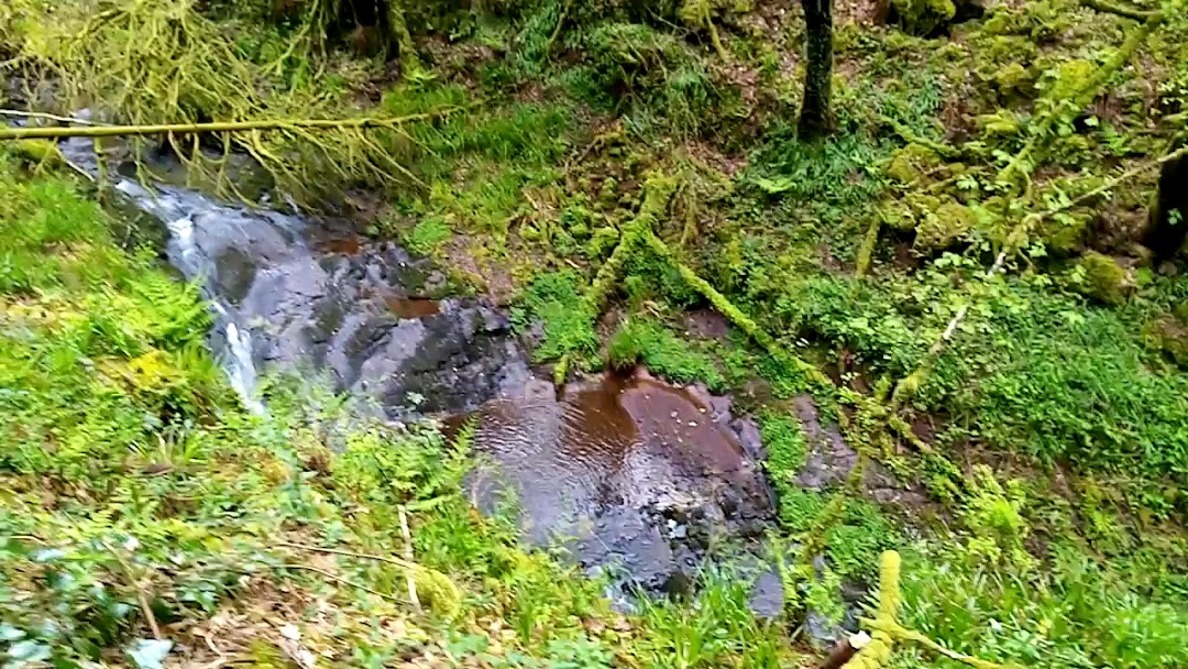Canon Sheehan Loop (Glenanair Forest)