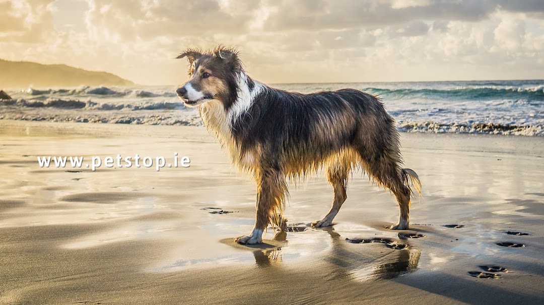 Petstop - Airside/Swords