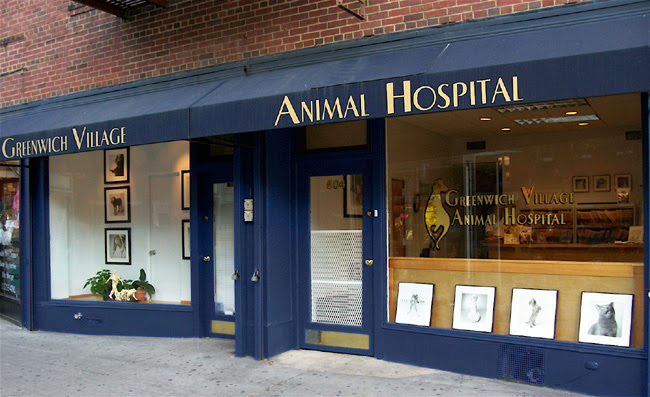 Greenwich Village Animal Hospital in New York