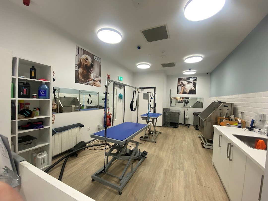 Maxi Zoo Salon Mahon